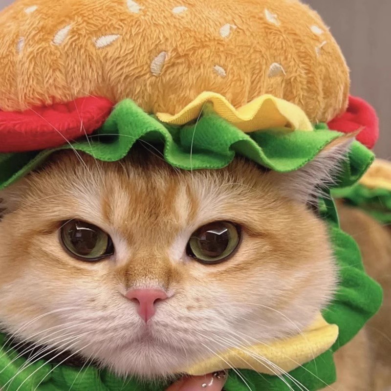 Burger Buddy Hat for Pets Under 9kg | Insta-Worthy Cute Pet Costume 🍔🐾