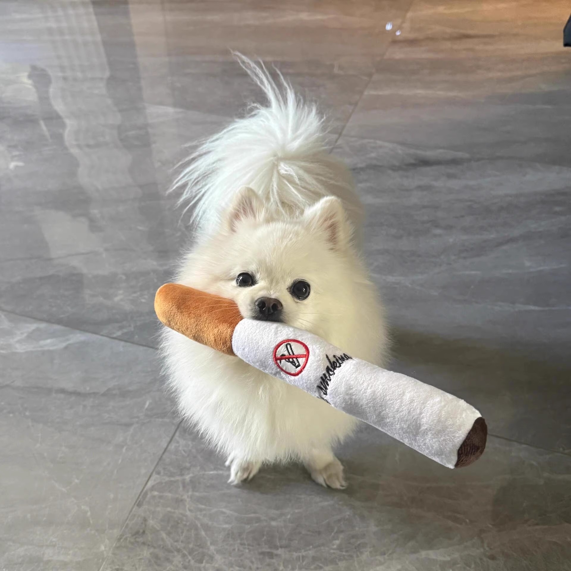 Squeaky SnuggleStick™‌ | Adorable Long-Lasting Chew Toy for Dogs & Cats – Cute Squeaky Fun!