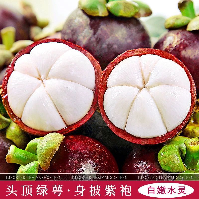 泰国进口山竹3/5斤新鲜大果当季水果